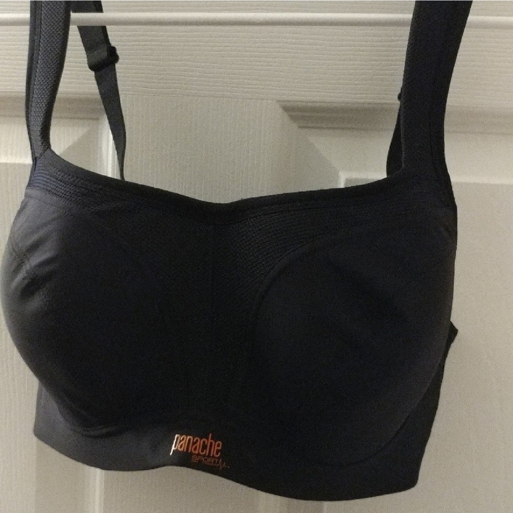 Panache High Impact Sports Bra